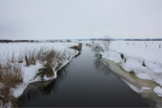 Hochdonner Au im Winter, in Dithmarschen, Nähe Nordsee